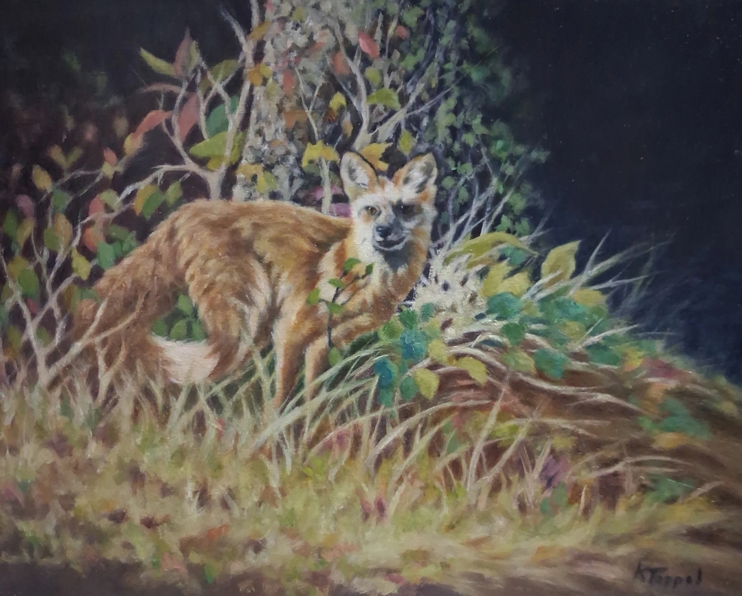 Foxy Lady thumbnail 1