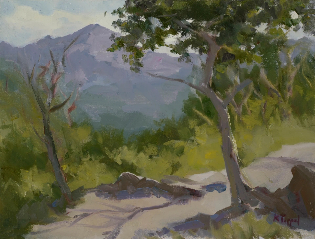 View From Above thumbnail 1