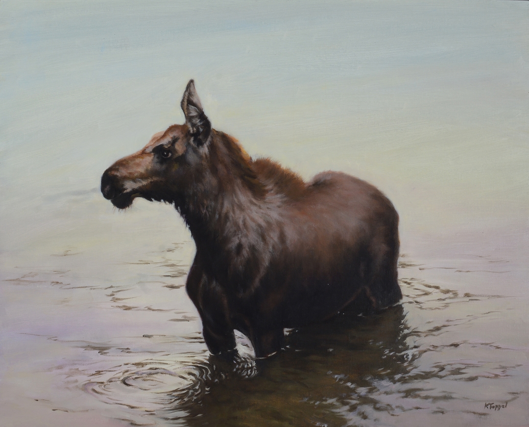 Yearling thumbnail 1
