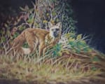 Foxy Lady