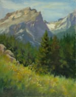 Hiker's Dream